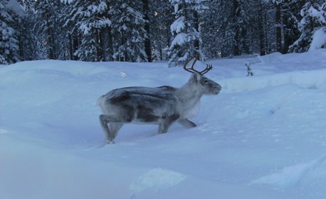 arctic-4x4-experience-138web